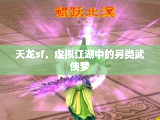 天龙sf，虚拟江湖中的另类武侠梦