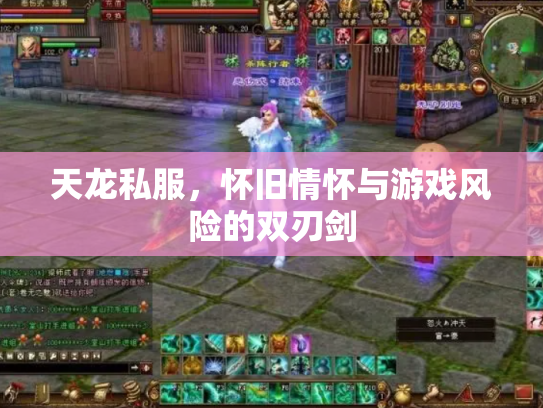 天龙私服，怀旧情怀与游戏风险的双刃剑