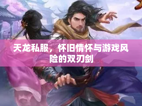 天龙私服，怀旧情怀与游戏风险的双刃剑