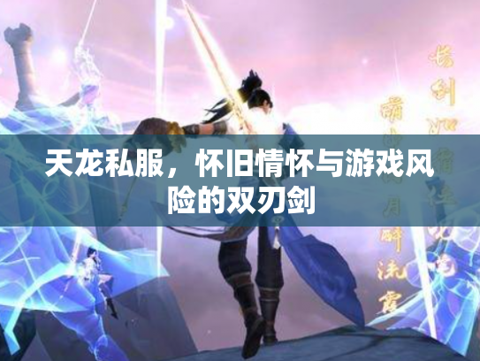 天龙私服，怀旧情怀与游戏风险的双刃剑