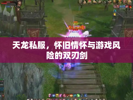 天龙私服，怀旧情怀与游戏风险的双刃剑