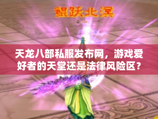 天龙八部私服发布网，游戏爱好者的天堂还是法律风险区？