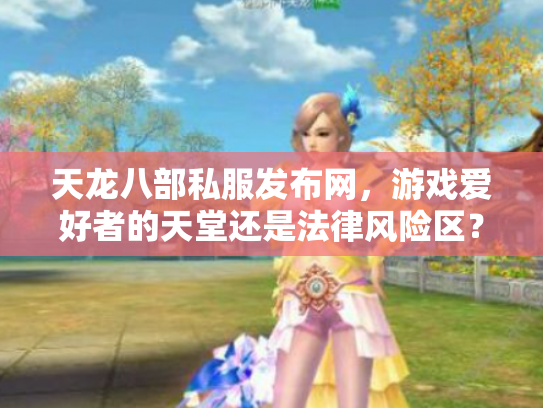 天龙八部私服发布网，游戏爱好者的天堂还是法律风险区？