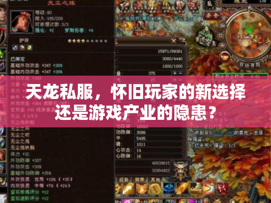 天龙私服，怀旧玩家的新选择还是游戏产业的隐患？