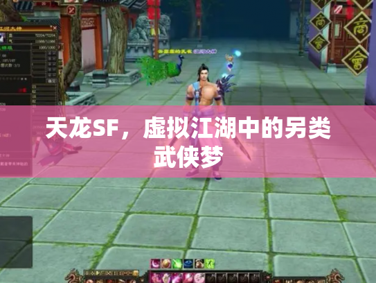 天龙SF，虚拟江湖中的另类武侠梦