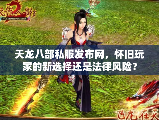 天龙八部私服发布网，怀旧玩家的新选择还是法律风险？