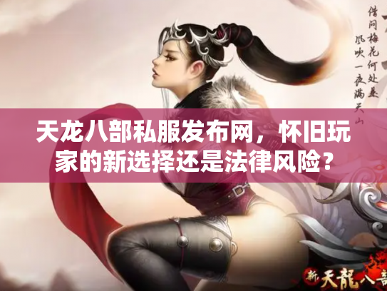 天龙八部私服发布网，怀旧玩家的新选择还是法律风险？