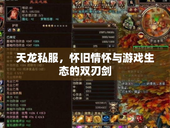 天龙私服，怀旧情怀与游戏生态的双刃剑
