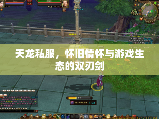 天龙私服，怀旧情怀与游戏生态的双刃剑