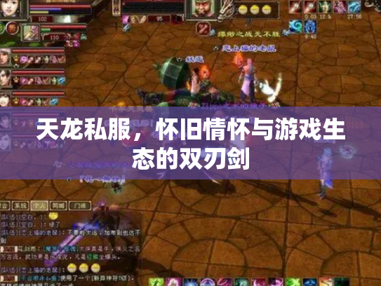 天龙私服，怀旧情怀与游戏生态的双刃剑