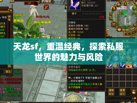 天龙sf，重温经典，探索私服世界的魅力与风险