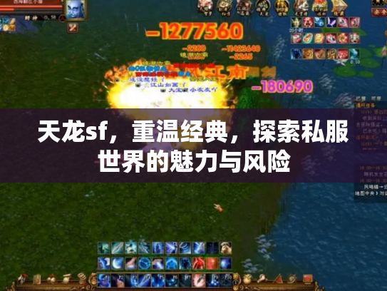 天龙sf，重温经典，探索私服世界的魅力与风险