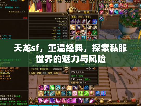 天龙sf，重温经典，探索私服世界的魅力与风险