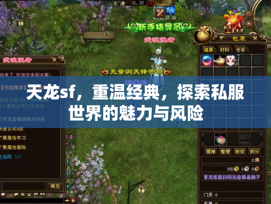 天龙sf，重温经典，探索私服世界的魅力与风险
