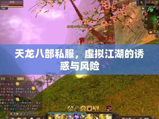 天龙八部私服，虚拟江湖的诱惑与风险