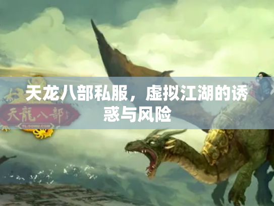 天龙八部私服，虚拟江湖的诱惑与风险