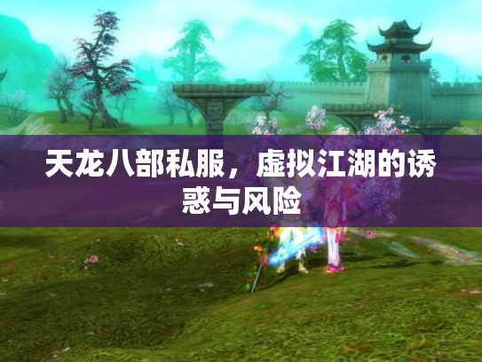 天龙八部私服，虚拟江湖的诱惑与风险