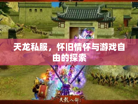 天龙私服，怀旧情怀与游戏自由的探索