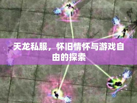 天龙私服，怀旧情怀与游戏自由的探索