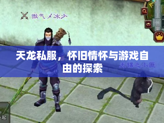 天龙私服，怀旧情怀与游戏自由的探索