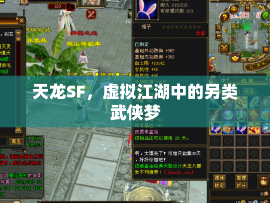 天龙SF，虚拟江湖中的另类武侠梦
