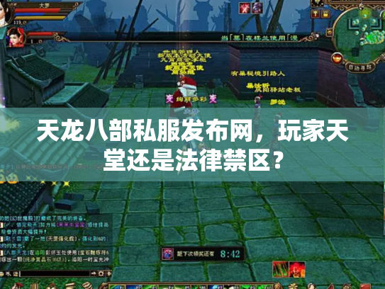天龙八部私服发布网，玩家天堂还是法律禁区？
