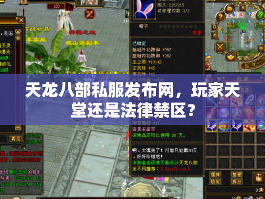 天龙八部私服发布网，玩家天堂还是法律禁区？