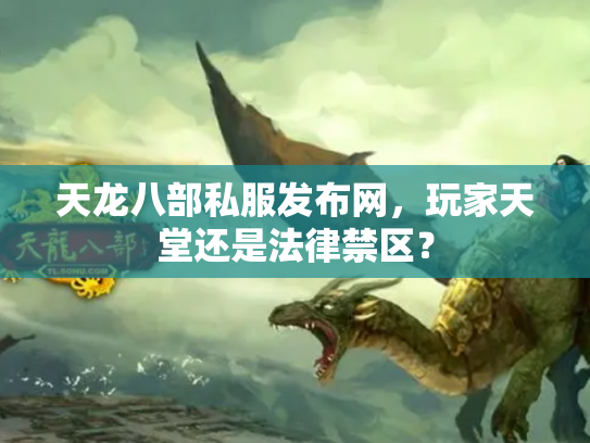 天龙八部私服发布网，玩家天堂还是法律禁区？