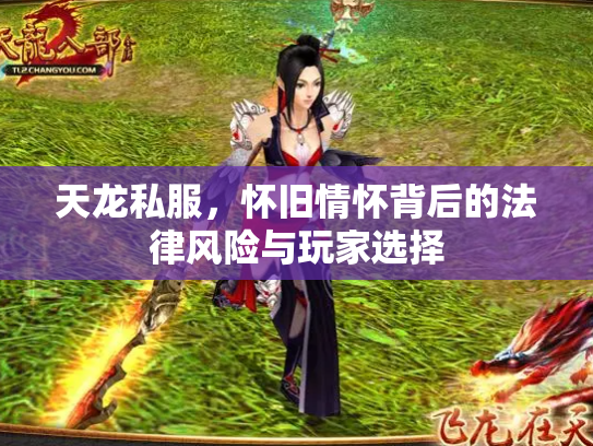 天龙私服，怀旧情怀背后的法律风险与玩家选择