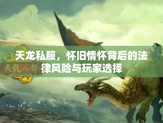 天龙私服，怀旧情怀背后的法律风险与玩家选择