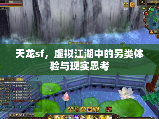 天龙sf，虚拟江湖中的另类体验与现实思考