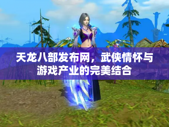 天龙八部发布网，武侠情怀与游戏产业的完美结合