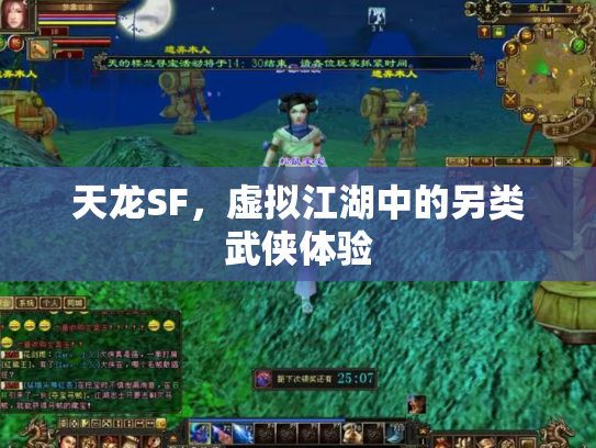 天龙SF，虚拟江湖中的另类武侠体验