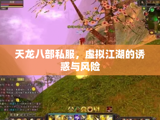 天龙八部私服，虚拟江湖的诱惑与风险