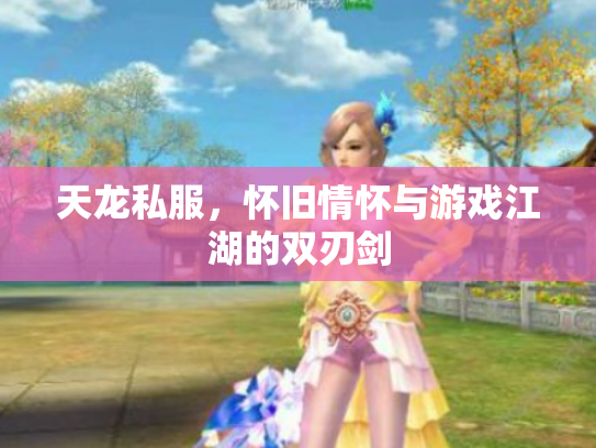 天龙私服，怀旧情怀与游戏江湖的双刃剑