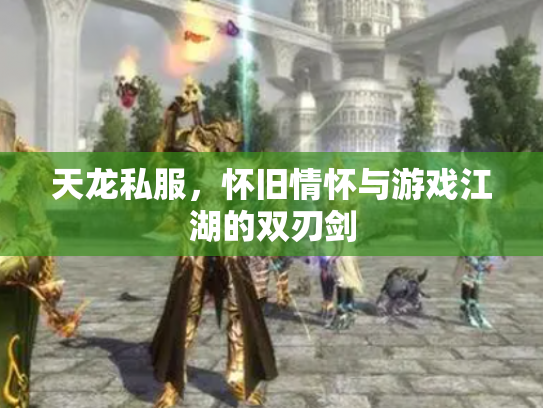天龙私服，怀旧情怀与游戏江湖的双刃剑