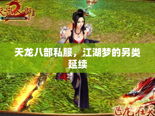 天龙八部私服，江湖梦的另类延续