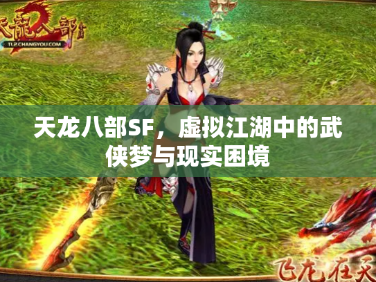 天龙八部SF，虚拟江湖中的武侠梦与现实困境