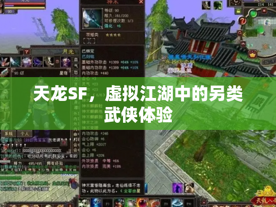 天龙SF，虚拟江湖中的另类武侠体验