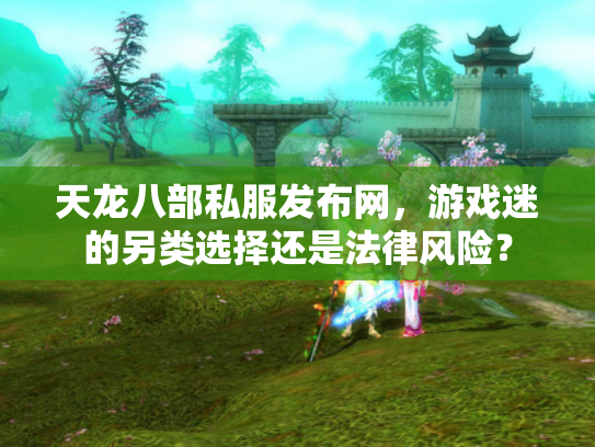 天龙八部私服发布网，游戏迷的另类选择还是法律风险？