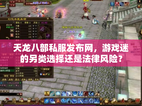 天龙八部私服发布网，游戏迷的另类选择还是法律风险？