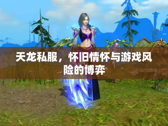 天龙私服，怀旧情怀与游戏风险的博弈