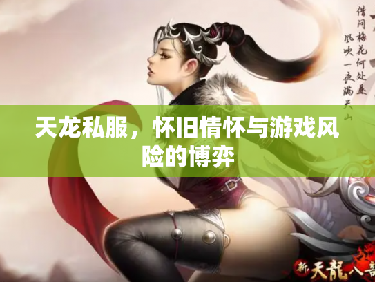 天龙私服，怀旧情怀与游戏风险的博弈