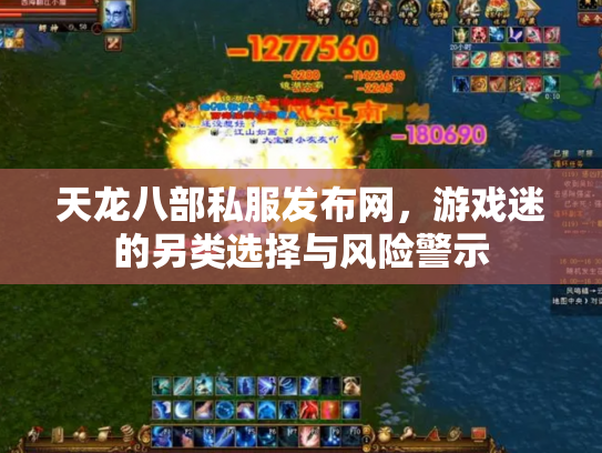 天龙八部私服发布网，游戏迷的另类选择与风险警示
