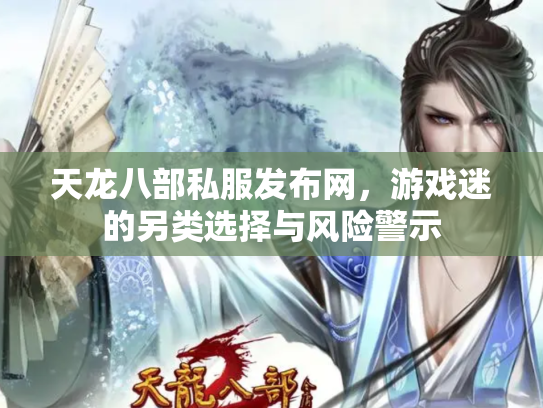 天龙八部私服发布网，游戏迷的另类选择与风险警示