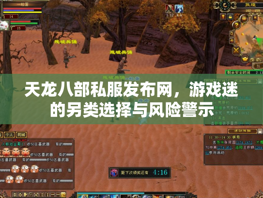 天龙八部私服发布网，游戏迷的另类选择与风险警示