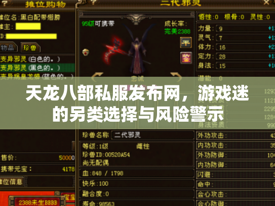 天龙八部私服发布网，游戏迷的另类选择与风险警示