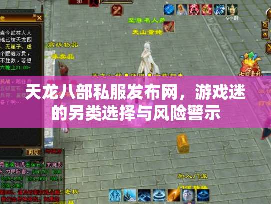 天龙八部私服发布网，游戏迷的另类选择与风险警示