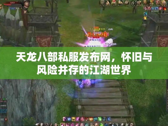 天龙八部私服发布网，怀旧与风险并存的江湖世界