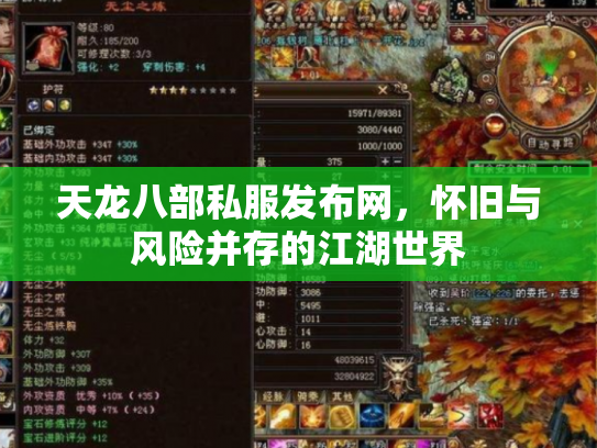 天龙八部私服发布网，怀旧与风险并存的江湖世界